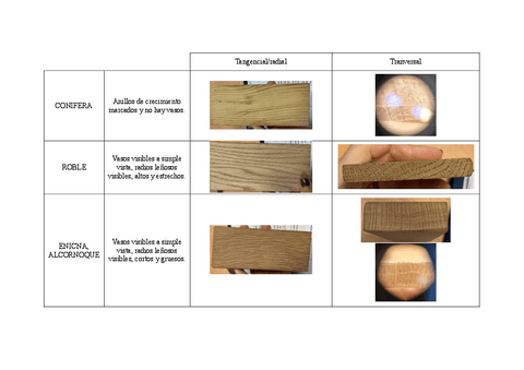 Reco-maderas-macroscopico..pdf