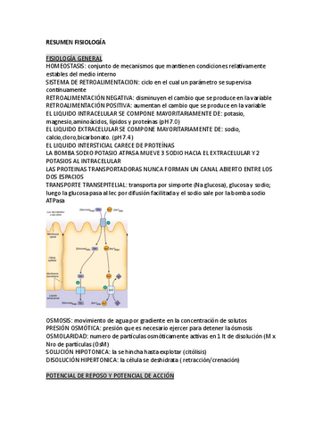 APUNTES-1er-PARCIAL-FISIOLOGIA.pdf