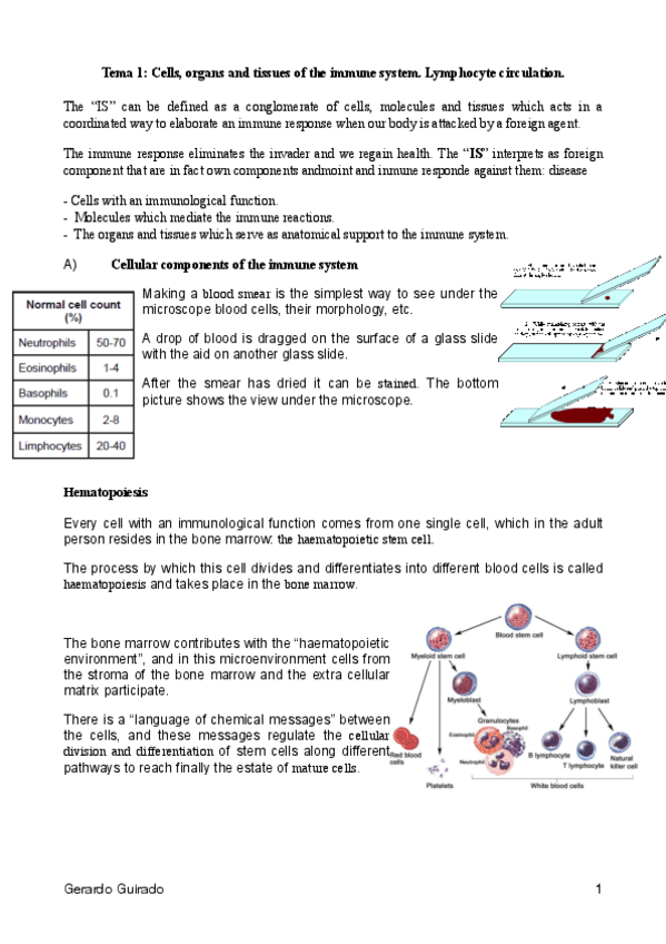 Apuntes Inmunology Pdf