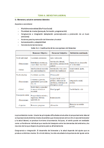 TEMA-6.-Bienestar-Laboral.pdf
