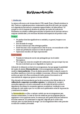 Biorremediacion.pdf