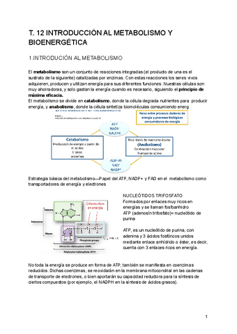 Bioquimica-2-parcial.pdf