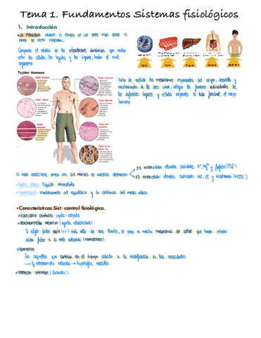 Tema1.pdf