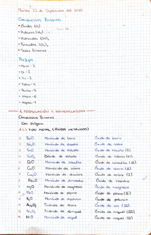 Formulacion-y-nomenclatura.pdf