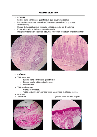 Laboratorio-cito-aparatos.pdf