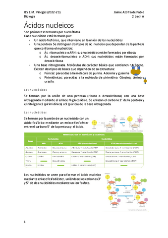 Acidos-nucleicos.pdf