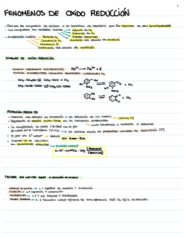 FENOMENOS-OX-RED.pdf