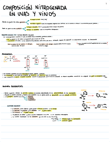 NITROGENADOS.pdf