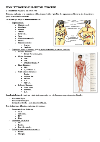 FISIOLOGIA-II-TEMA-7-INTRODUCCION-AL-SISTEMA-ENDOCRINO.pdf