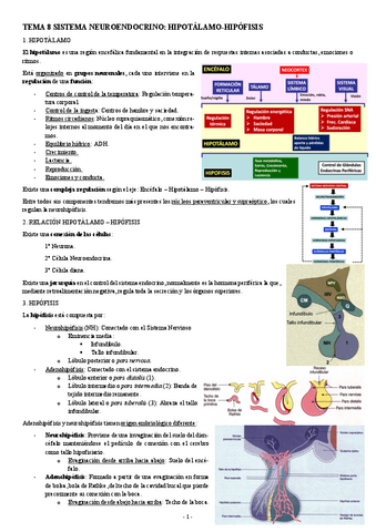 FISIOLOGIA-II-TEMA-8-SISTEMA-NEUROENDOCRINO-HIPOTALAMO-HIPOFISIS.pdf
