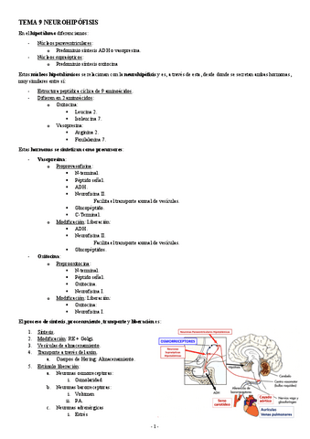 FISIOLOGIA-II-TEMA-9-NEUROHIPOFISIS.pdf