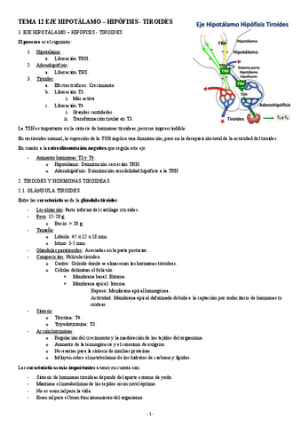 FISIOLOGIA-II-TEMA-12-EJE-HIPOTALAMO-HIPOFISIS-TIROIDES.pdf