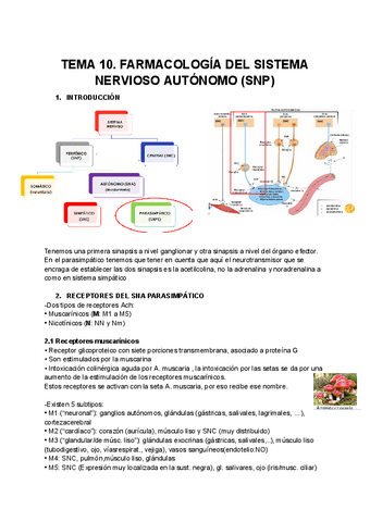 TEMA-10.-FARMACOLOGIA-DEL-SISTEMA-NERVIOSO-AUTONOMO-SNP.pdf