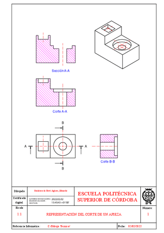 Figura10.1-corte-y-seccion-Solucion.pdf