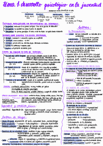 Esquema-tema-1-desarrollo.pdf