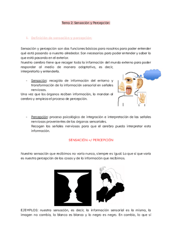 Tema-2-Sensacion-y-Percepcion.pdf