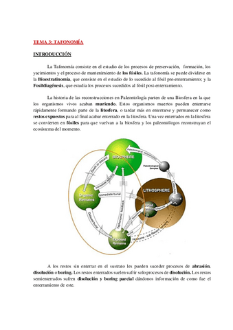 AP-PALEO-TEMA-3-WH.pdf