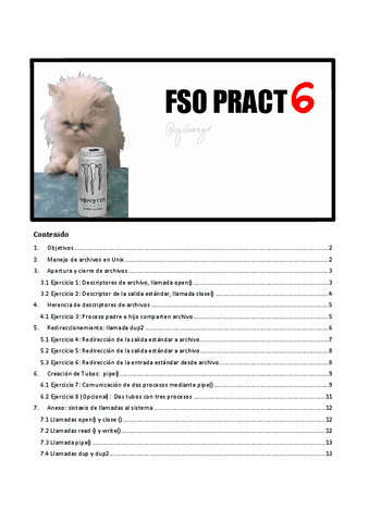 FSO-pract-6-COMPLETA-con-anotaciones.pdf