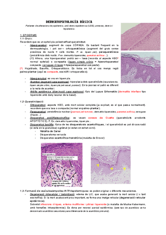 Resum-APa-derma.pdf
