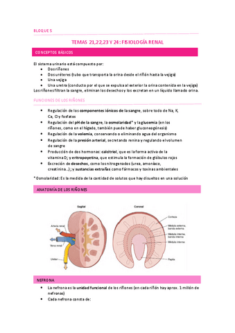 TEMAS-212223-Y-24.pdf