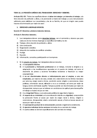TEMA-11.pdf
