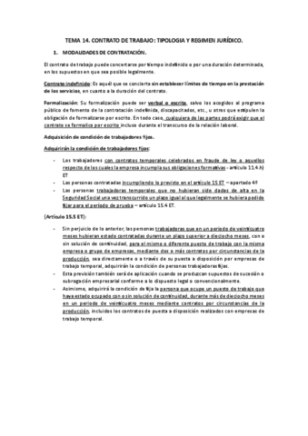 TEMA-14.pdf