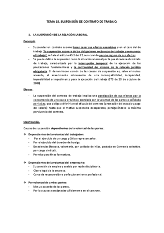 TEMA-18.pdf