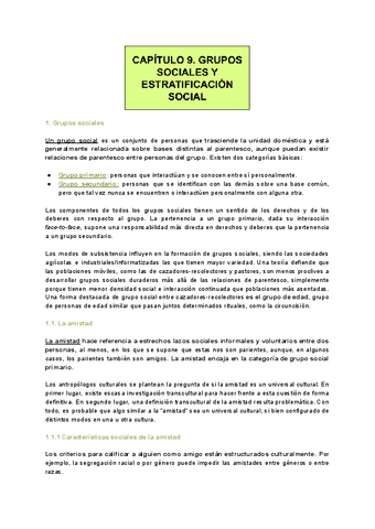 Capitulo-9.-Grupos-sociales-y-estratificacion-social.pdf