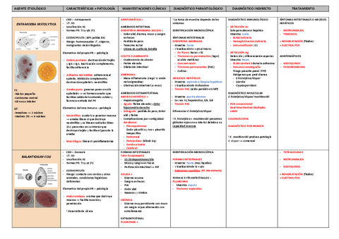 MEGA RESUMEN ESQUEMA ANALISIS PARASITOLOGIA.pdf