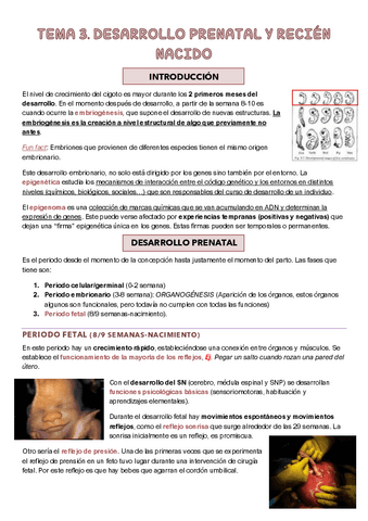 TEMA-3-DESARROLLO-COGNITIVO.pdf