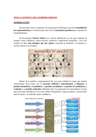 AP-ETOLOGIA-TEMA-4-WH.pdf