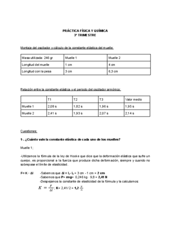 practica-MUELLES.pdf