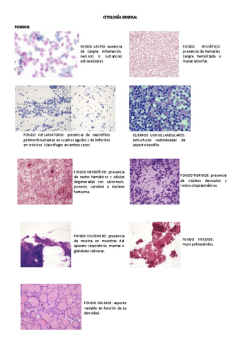 PREPARACION-VISU-CITO-GENE-I.pdf