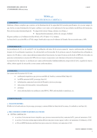 TEMA-4.3-ADULTO-II.pdf