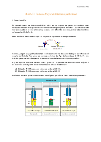 TEMA-11-Inmunologia.pdf