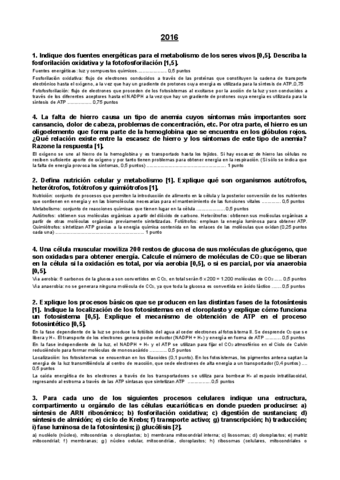 EJS-PAU-Metabolismo.pdf