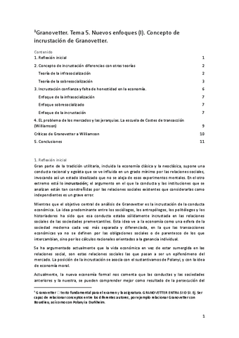 Tema-5.-Granovetter.docx.pdf