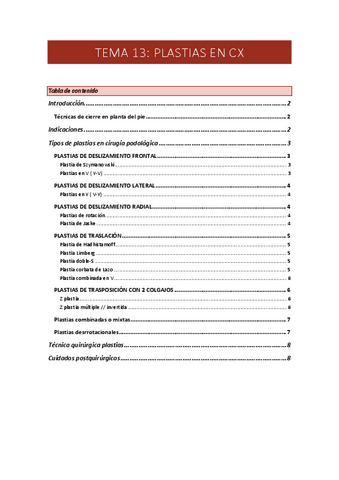 TEMA-13-PLASTIAS.pdf