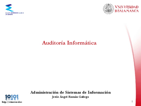 9.Auditoria.pdf