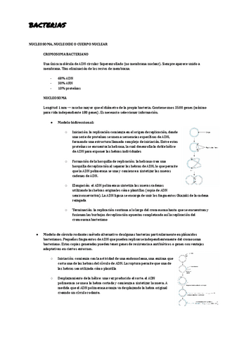 bacterias-II.pdf