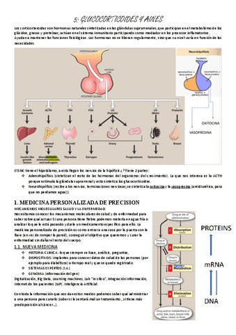 farmacologia-5-AINEs-y-glucocorticoides.pdf