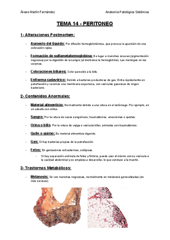 TEMA-14-PERITONEO.pdf