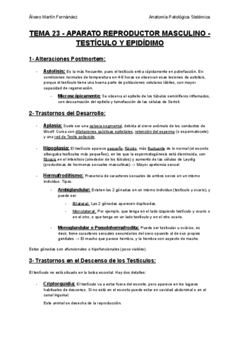 TEMA-23-APARATO-REPRODUCTOR-MASCULINO-TESTICULO-Y-EPIDIDIMO.pdf