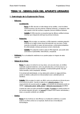 TEMA-10-SEMIOLOGIA-DEL-APARATO-URINARIO.pdf