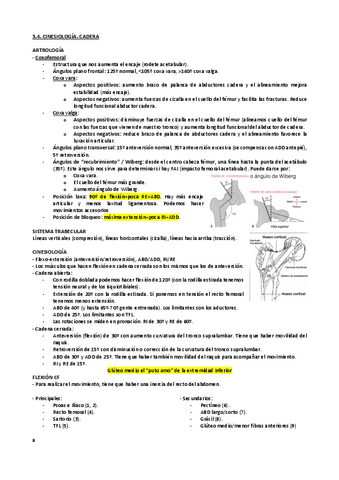3.2. Cinesiologia Cadera.pdf