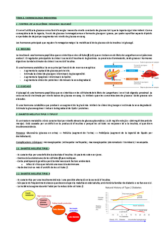Tema-2.-Farmacologia-endocrina.pdf