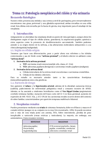 AP-TEMA-11-10-RESUMEN.pdf