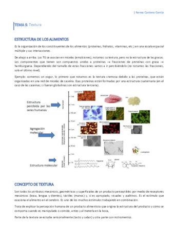 Miniatura del documento APUNTES Tema 9 Textura.pdf