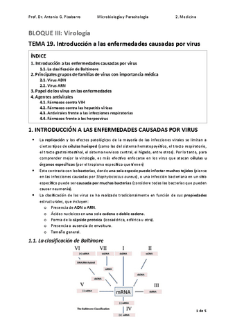 TEMA-19.-Introduccion-a-las-enfermedades-causadas-por-virus.pdf