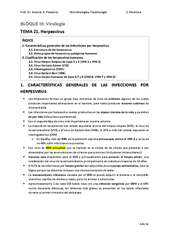 TEMA-21.-Herpesvirus.pdf